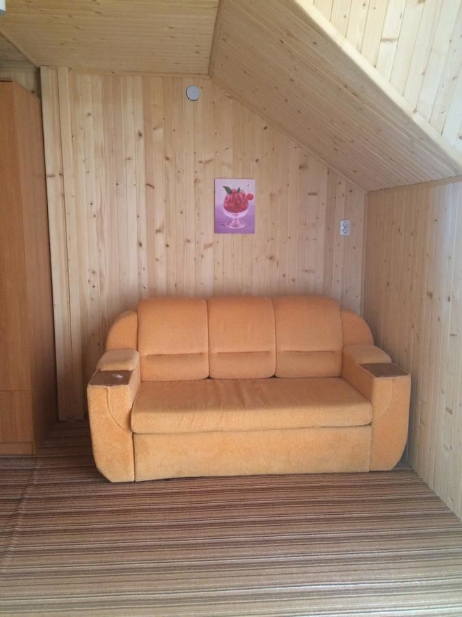Гостевой дом Dream House Яблоница-14