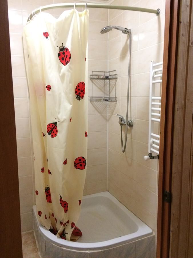 Гостевой дом Dream House Яблоница-22